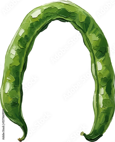 Arched Green Bean with oil painting