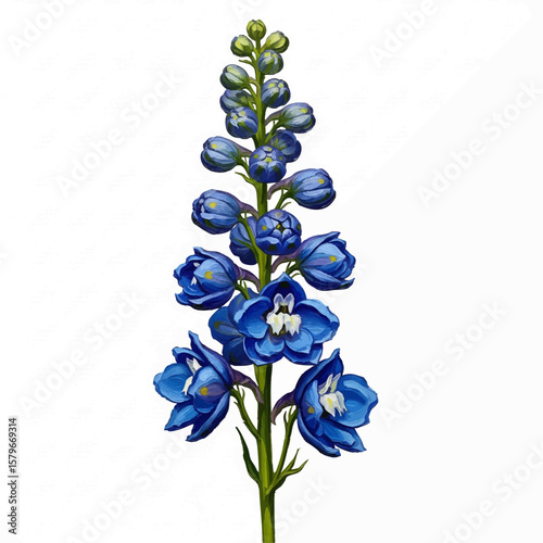 Delphinium Buds with oil painting