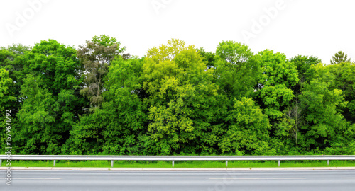 Lush green trees line a roadside with a gray asphalt road and metal guardrail. Perfect for backgrounds and designs.