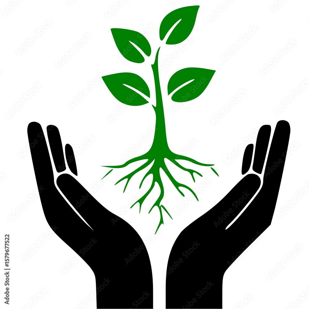 Obraz premium hands holding green plant , Two hands carefully hold a green plant with roots.