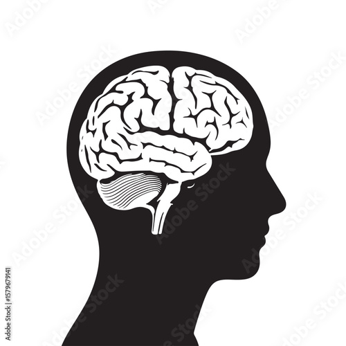 Black and White Silhouette of a Head with Detailed Brain Anatomy Visible Inside vector
