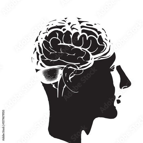 Black and White Silhouette of a Human Head with Detailed Brain Anatomy Visible human brain