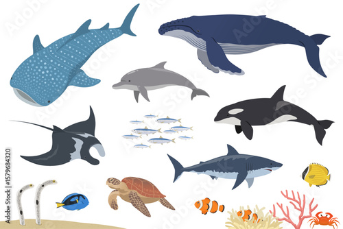 海の生き物セット_ベクターイラスト