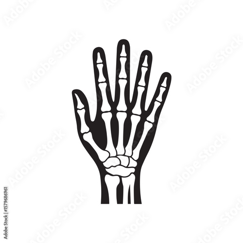 A black silhouette of a human skeleton hand, showing the intricate bone structure, isolated on a white background
