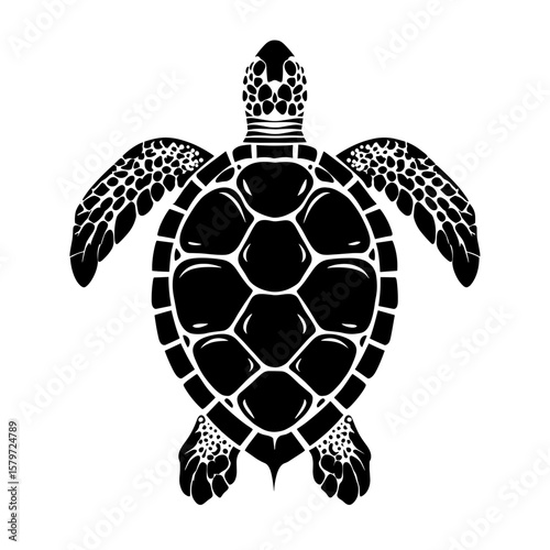 Sea turtle illustration showcasing its shell and flippers in a detailed graphic representation style