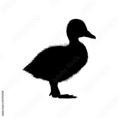Silhouette of a small duckling standing upright with fluffy feathers and a short beak shown clearly here