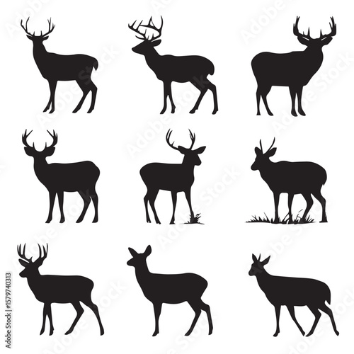 buck deer silhouette set, Black & White silhouette set 