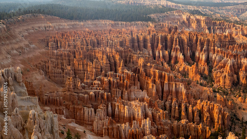 Bryce National Park