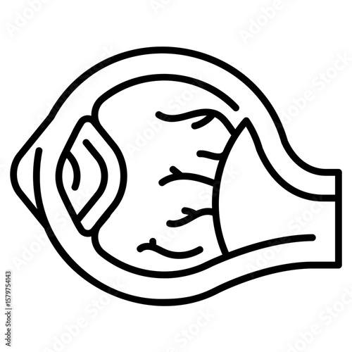 Human Eye and Vision System line Icon