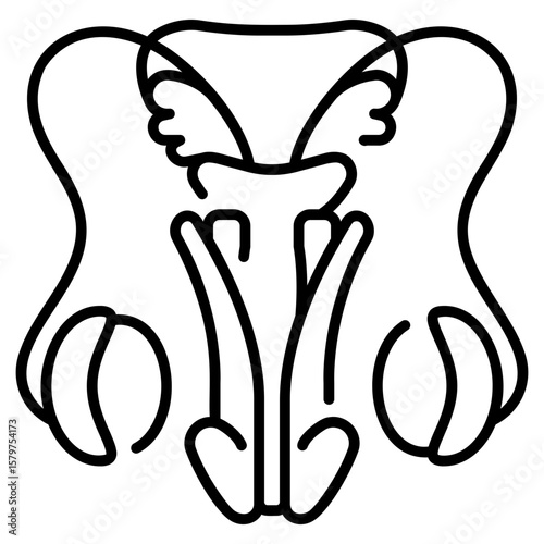 Male Reproductive System line Icon