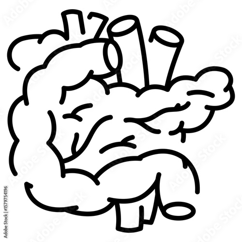 Human Pancreas and Digestive System line Icon