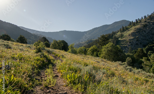 Quadro su tela Summer Hiking Views of Maple Creek Spring Franklin County Idaho - Southeastern I