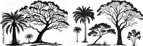 Black and White Silhouette Trees and Palms