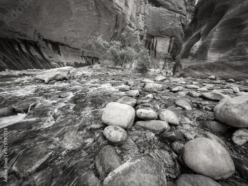 The Narrows, Zion National Park, Utah