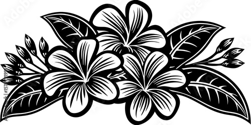 Graceful frangipani design element with stylized tropical blossoms and leaves creates an elegant floral arrangement for various creative projects.