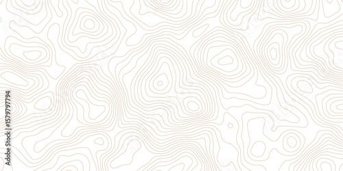 Geography landscape Topo contour map on white background, Topographic contour lines. Seamless pattern with lines Topographic map. Geographic mountain relief diagram line wave carve pattern. 