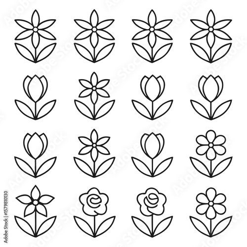 Collection of Outline Flower Illustrations Geometric Botanical Composition Flowers Trees and Leaves
