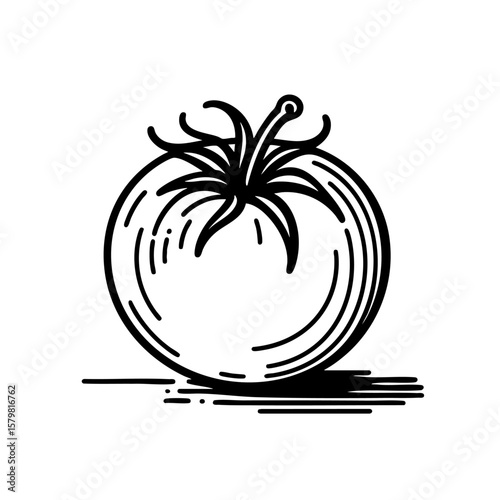 A Delicious Tomato  Fresh, Red, and Juicy
