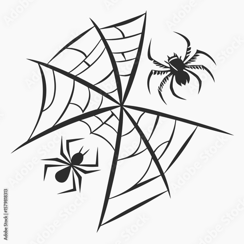 Black spiders on a web arachnid creepy