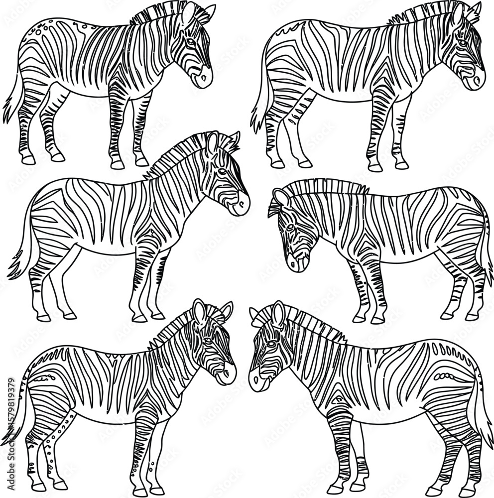 Obraz premium Collection of six stylized black and white zebra illustrations on white background