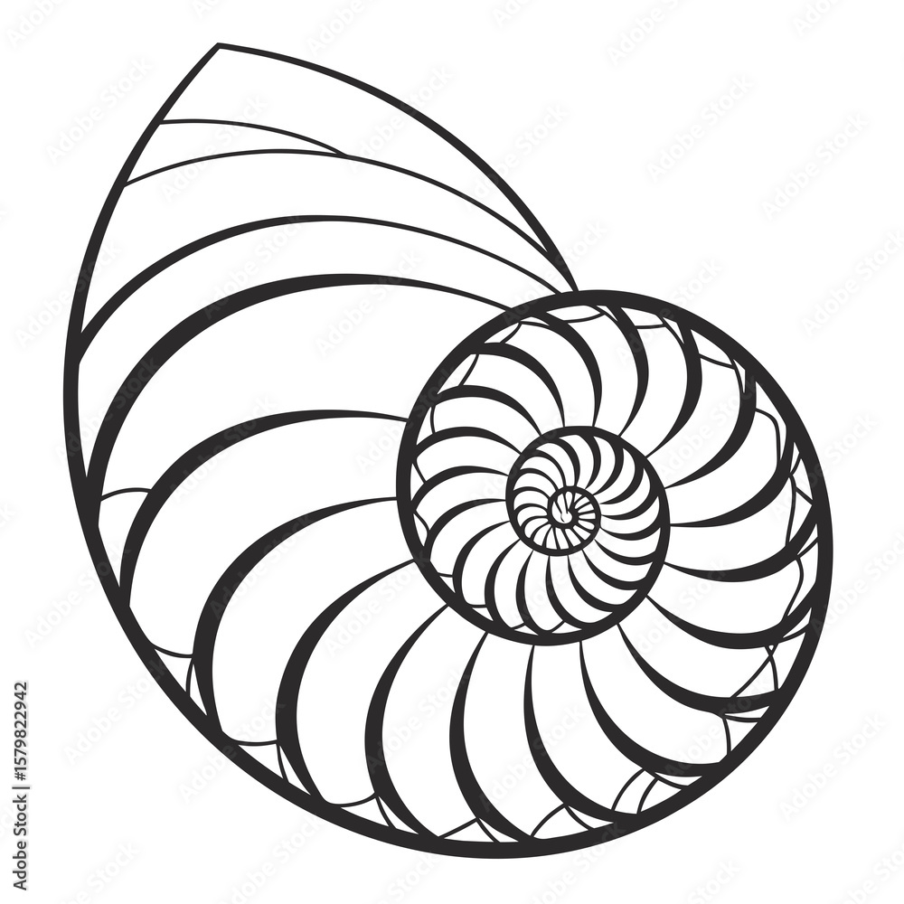Obraz premium Nautilus shell spiral pattern abstract design black and white