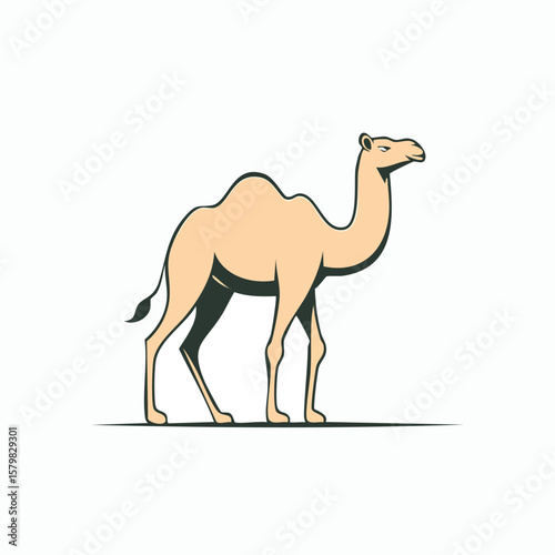 Camel Silhouette: A majestic camel stands tall against a clean backdrop, its form rendered with graceful lines in a visually striking composition.