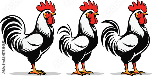 Three Roosters Illustration, Black and White Vector Design