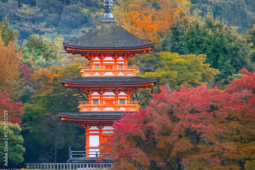 Kiyomizu-dera temple with beautiful foliage in autumn in Kyoto, Japan