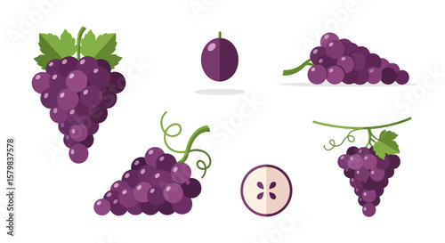 Purple Grape Collection: Flat Vector Illustration