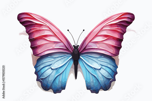 butterfly vector and illustration