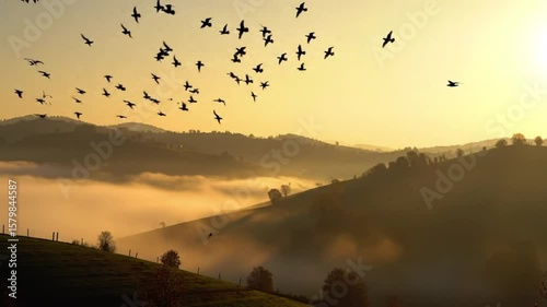 Birds silhouette against the orange morning sky, flying over the city's misty landscape as the sun rises through the clouds