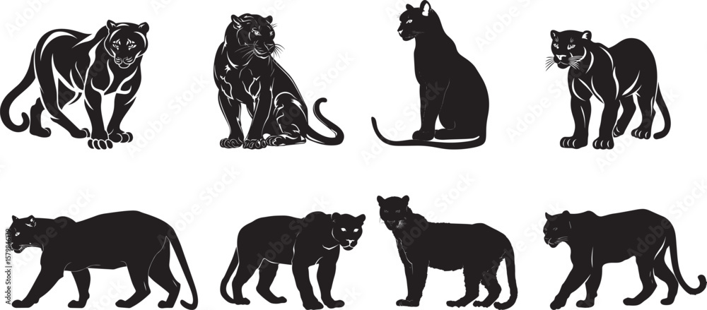 Naklejka premium Collection of A black panther in a dynamic pose, with a white background.