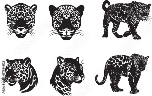 Collection of A black and white illustration of a leopard's face with a white background.