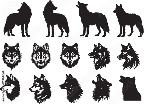 Collection of A black and white illustration of a wolf's head with a white background.