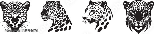 Collection of black and white illustration of a jaguar's head with a white background.