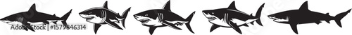 Collection of black and white illustration of a shark swimming in the ocean.