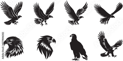 Collection of black and white illustration of an eagle's head with sharp eyes and a beak, set against a plain white background.