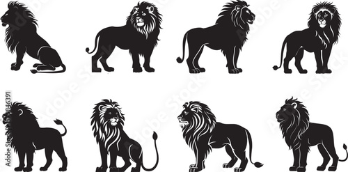 Collection of black and white illustration of a lion standing with its head turned to the side.