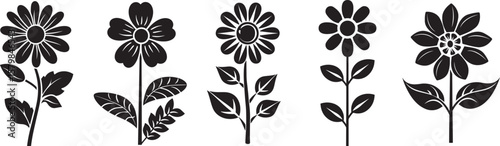 A black and white illustration of a single sunflower with a stem and leaves.