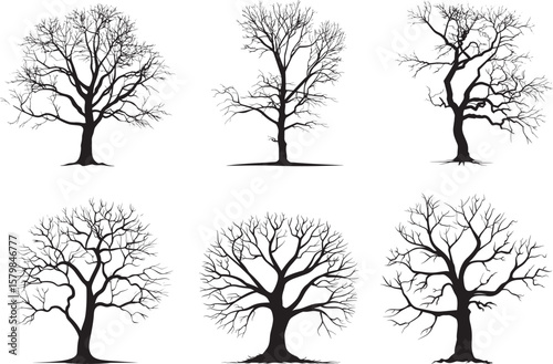 A black and white silhouette of a tree with bare branches against a white background.