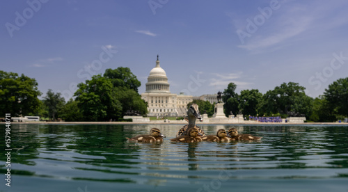 U.S. Capitol. Washington DC skyline featuring the Capitol. Senate and House USA building. USA government seat in District of Columbia. Capitol Reflecting Pool in Washington, DC.