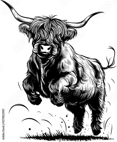Jumping Highland Cow Rustic