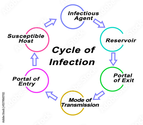 Steps in Cycle of Infection