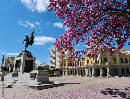 Bilde på lerret Ipê rosa na Praça da Estação em Belo Horizonte