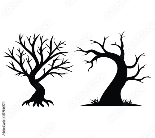 Storm-Damaged Tree Silhouettes