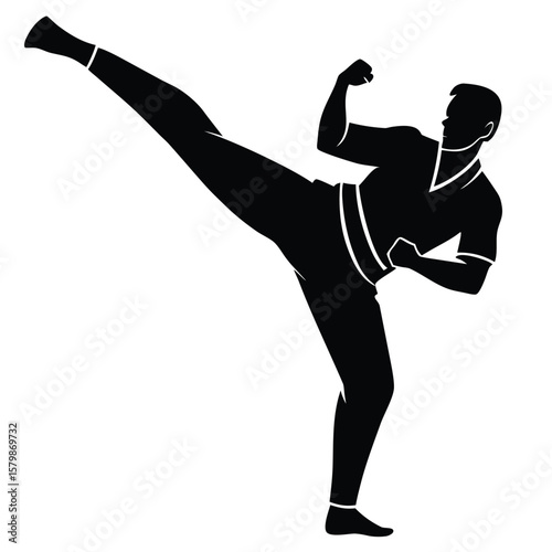 Black Silhouette of a Man Performing a Kick Martial Arts Exercise