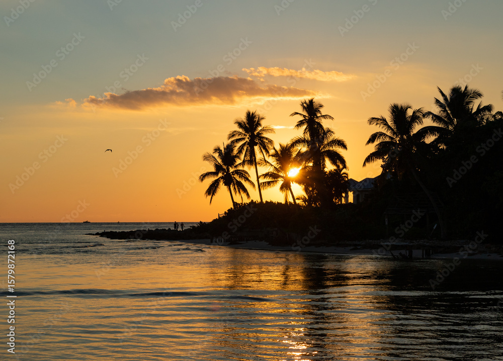 Obraz premium Tropical Sunset with Palm Trees in Naples, Florida