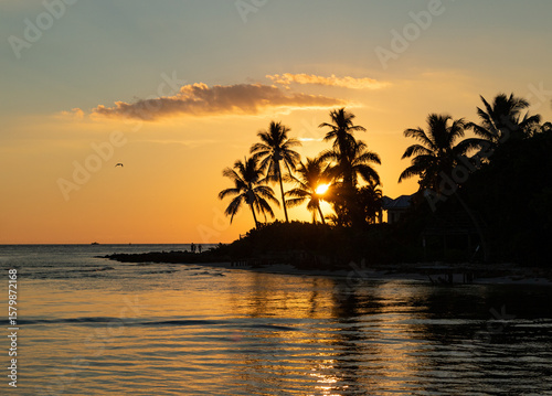 Tropical Sunset with Palm Trees in Naples, Florida