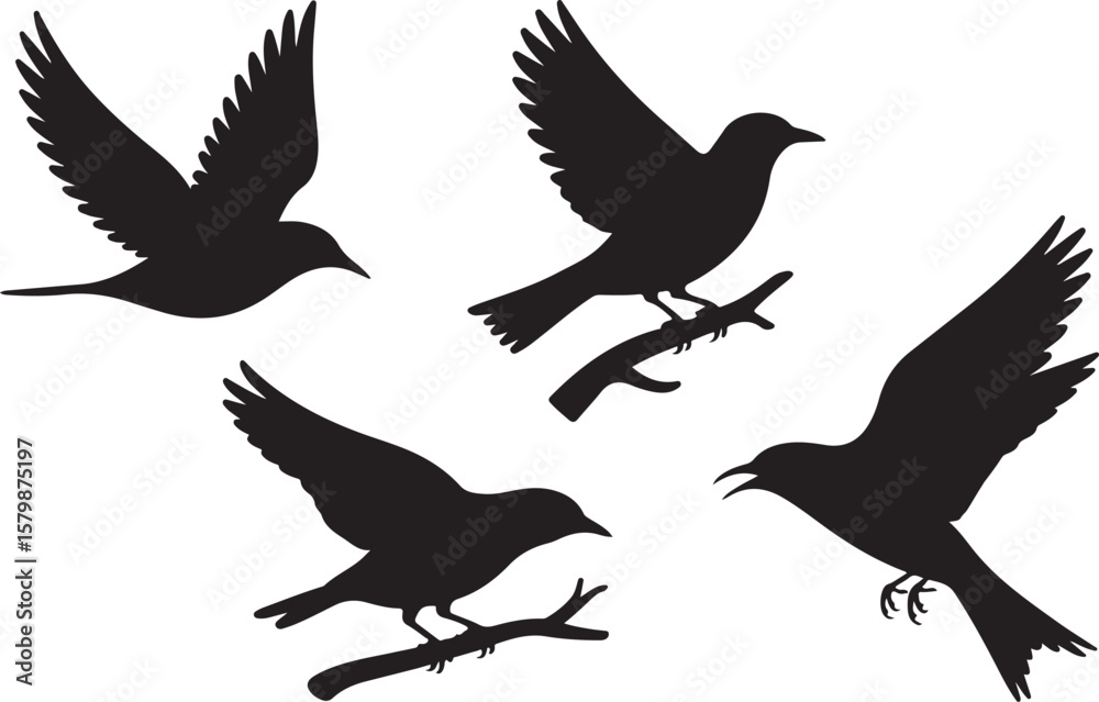 Obraz premium Flying and Perching Bird Silhouette Set Crow and Sparrow Vector Silhouettes Bundle Black Bird Clipart Collection – Flying & Branch Poses