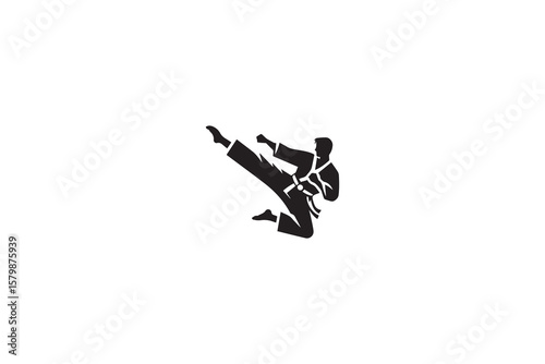 Dynamic Karate Kick Silhouette A Striking Martial Arts Display of Power and Precision in a Clean Modern Silhouette Style silhouette